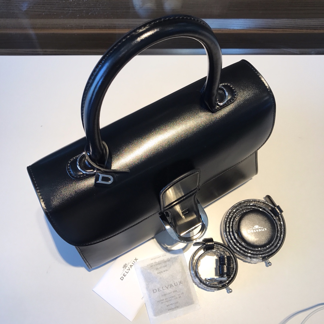 델보 브리앙 박스백 미듐